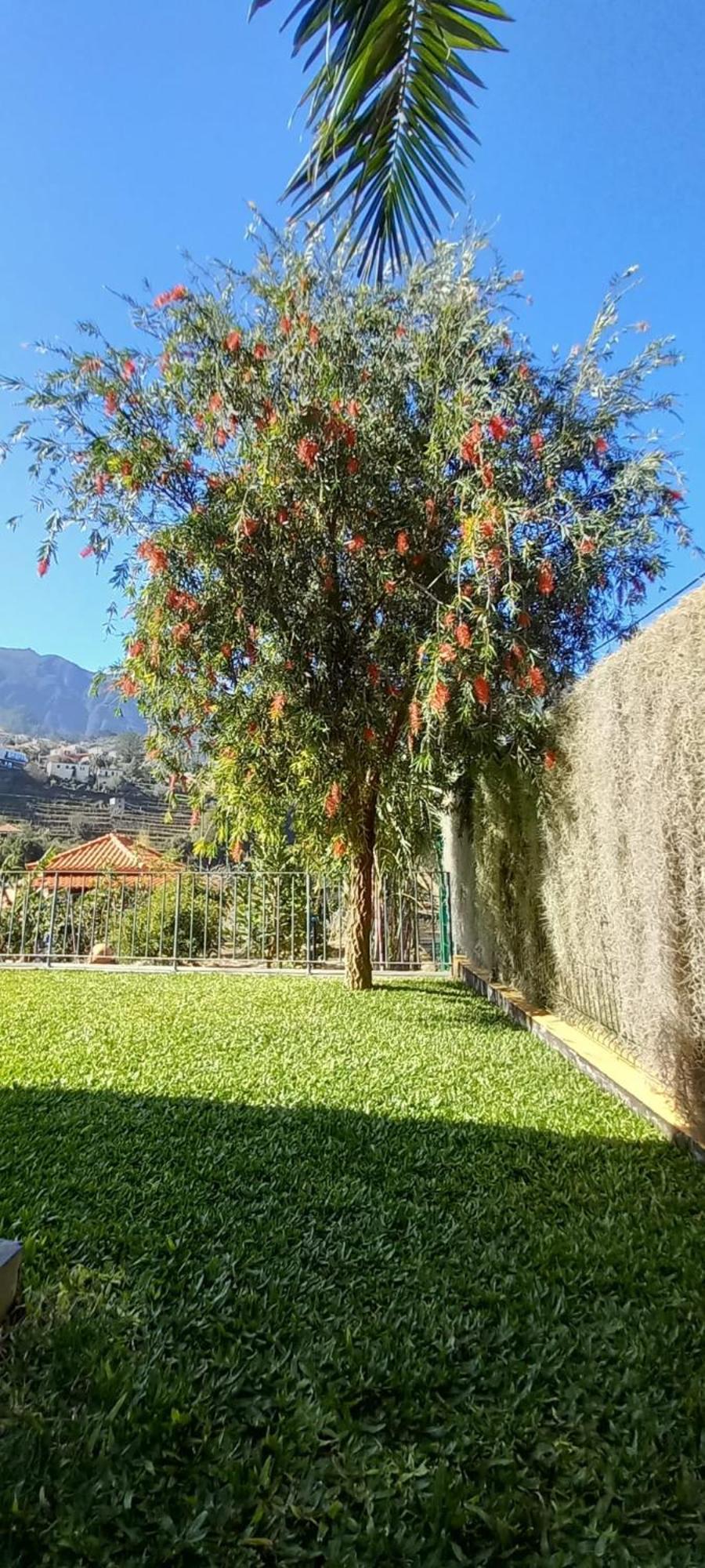 فيلا Refugio Do Limoeiro São Vicente المظهر الخارجي الصورة